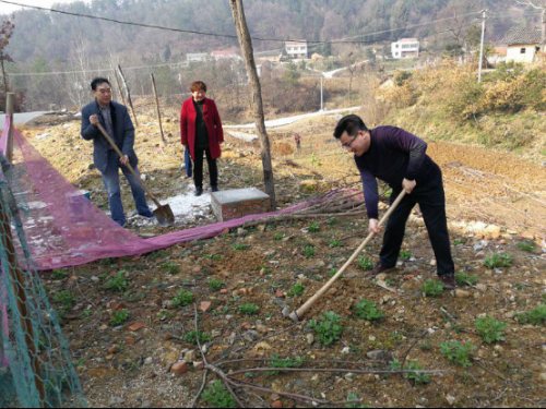 十堰市侨联主席黄宏伟到扶贫村走访调研