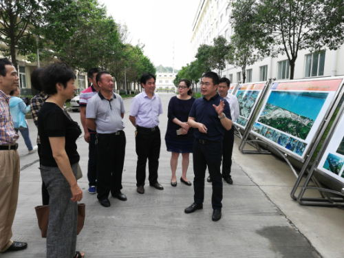 宜昌市政协、市侨联视察调研宜都侨企