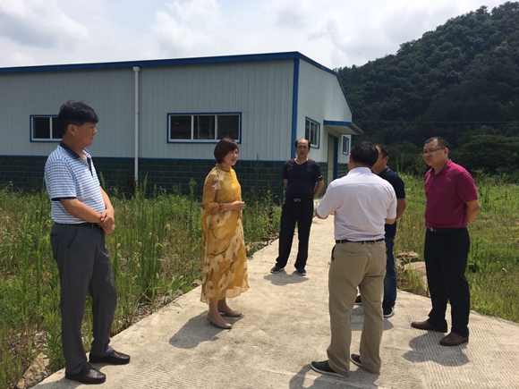 宜昌市侨联心系侨属关注侨企