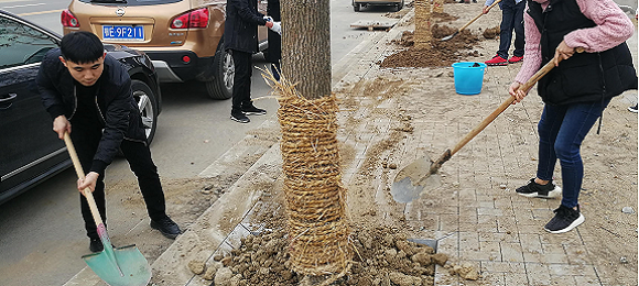 秭归县侨联开展义务植树活动