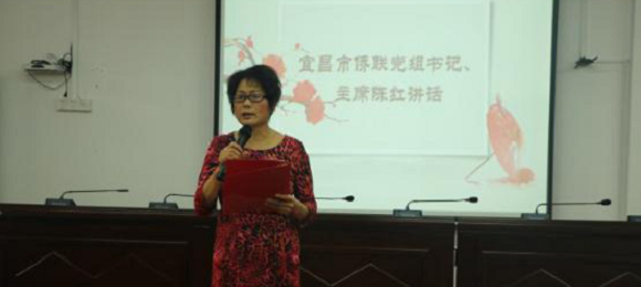 宜昌市侨联举办“迎端午·话清廉”活动