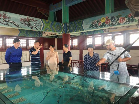 荆州市政协副主席林红调研侨企关羽祠