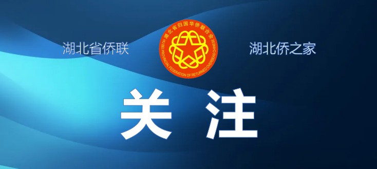 一图读懂海外远程视频公证