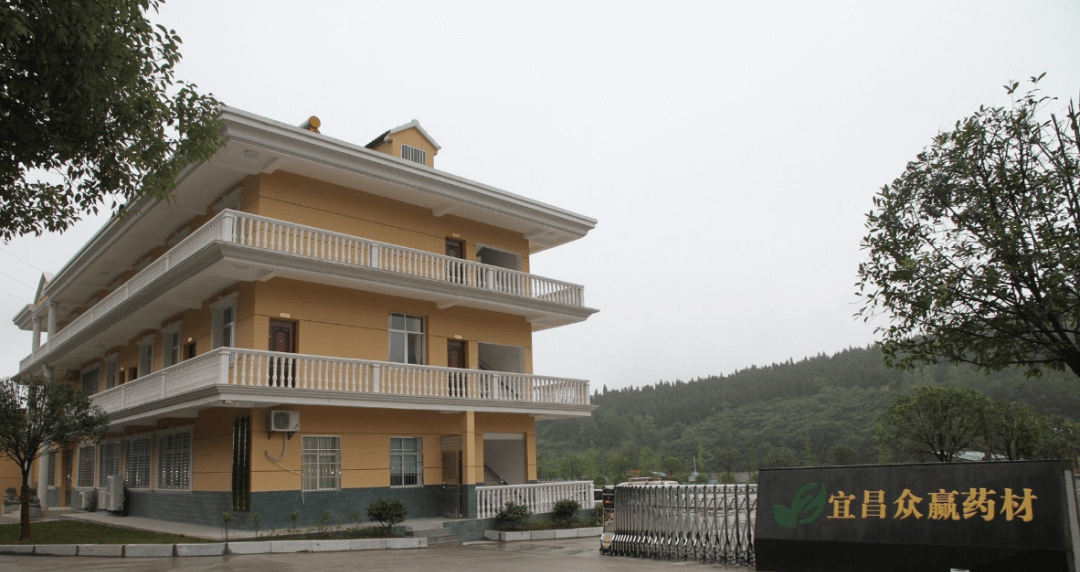 宜昌侨企——众赢药材种植专业合作社被命名为“全国巾帼现代农业科技示范基地”