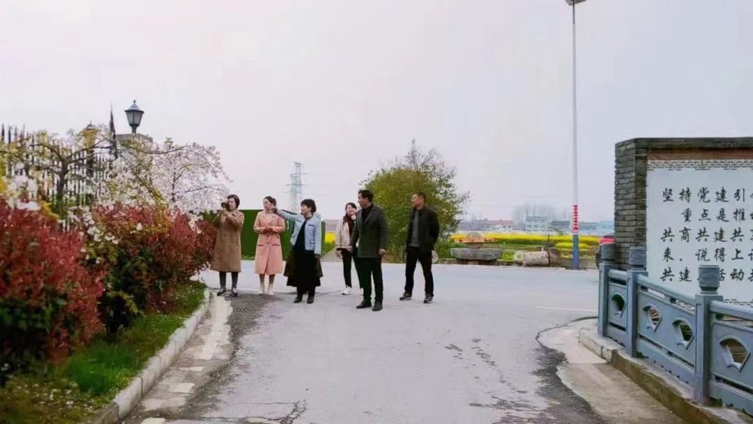 襄阳市侨联主席陈红调研帮扶村彭家营村 “共同缔造”示范点建设工作