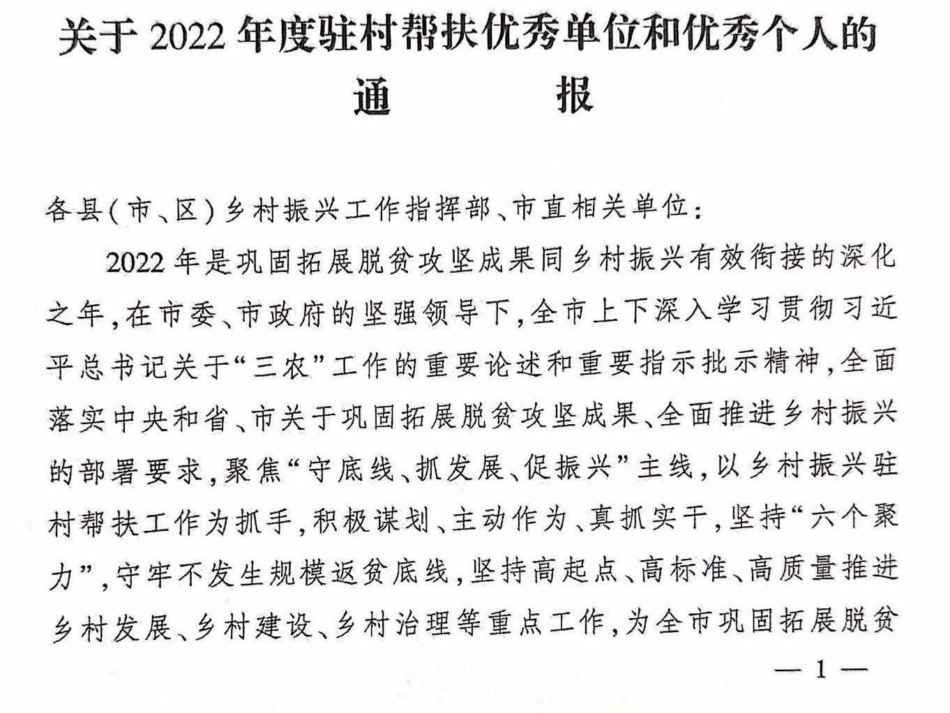 襄阳市侨联驻村帮扶工作获表彰