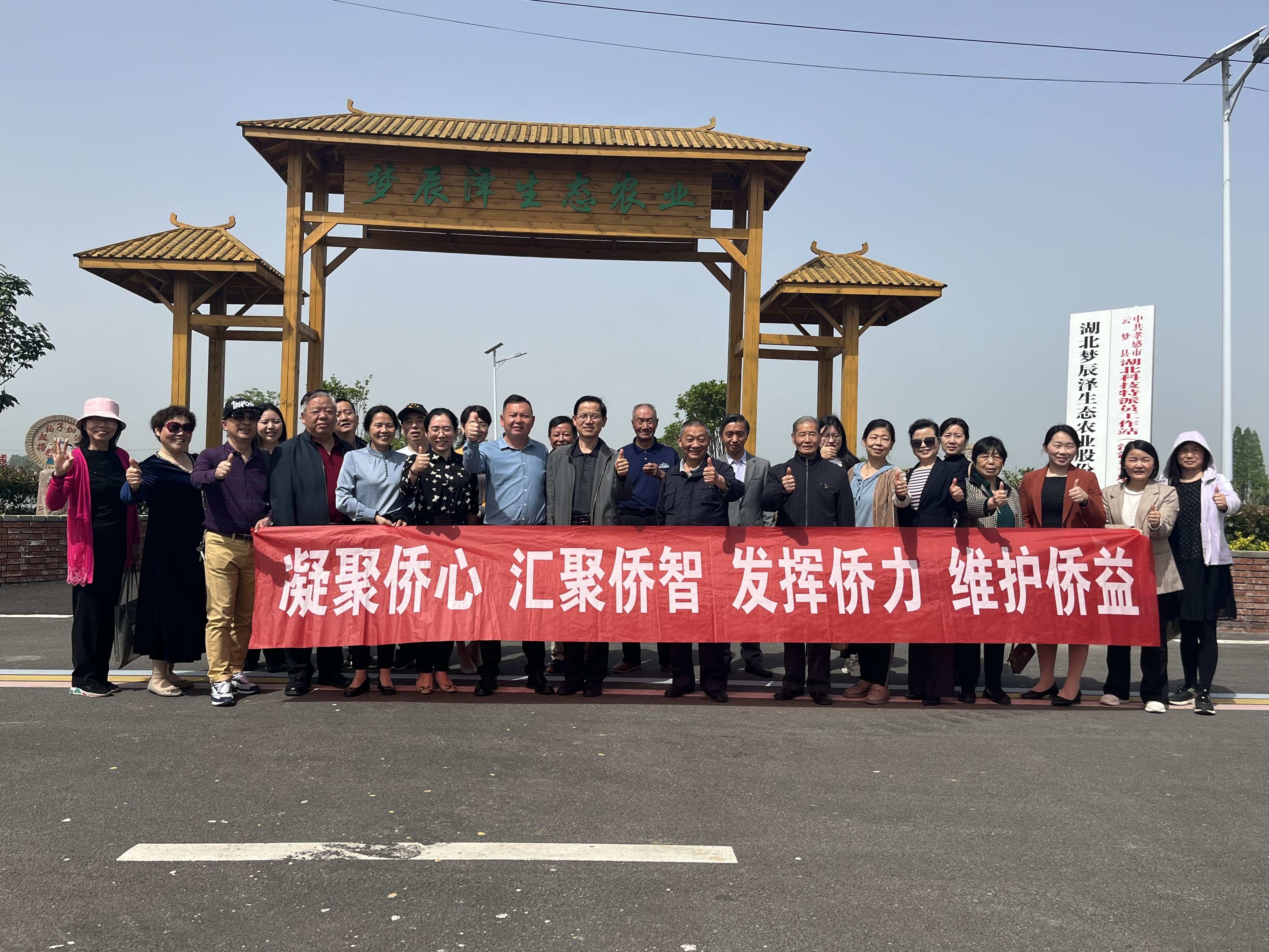 云梦县侨联举办“侨见家乡新变化”归侨 侨眷联谊活动