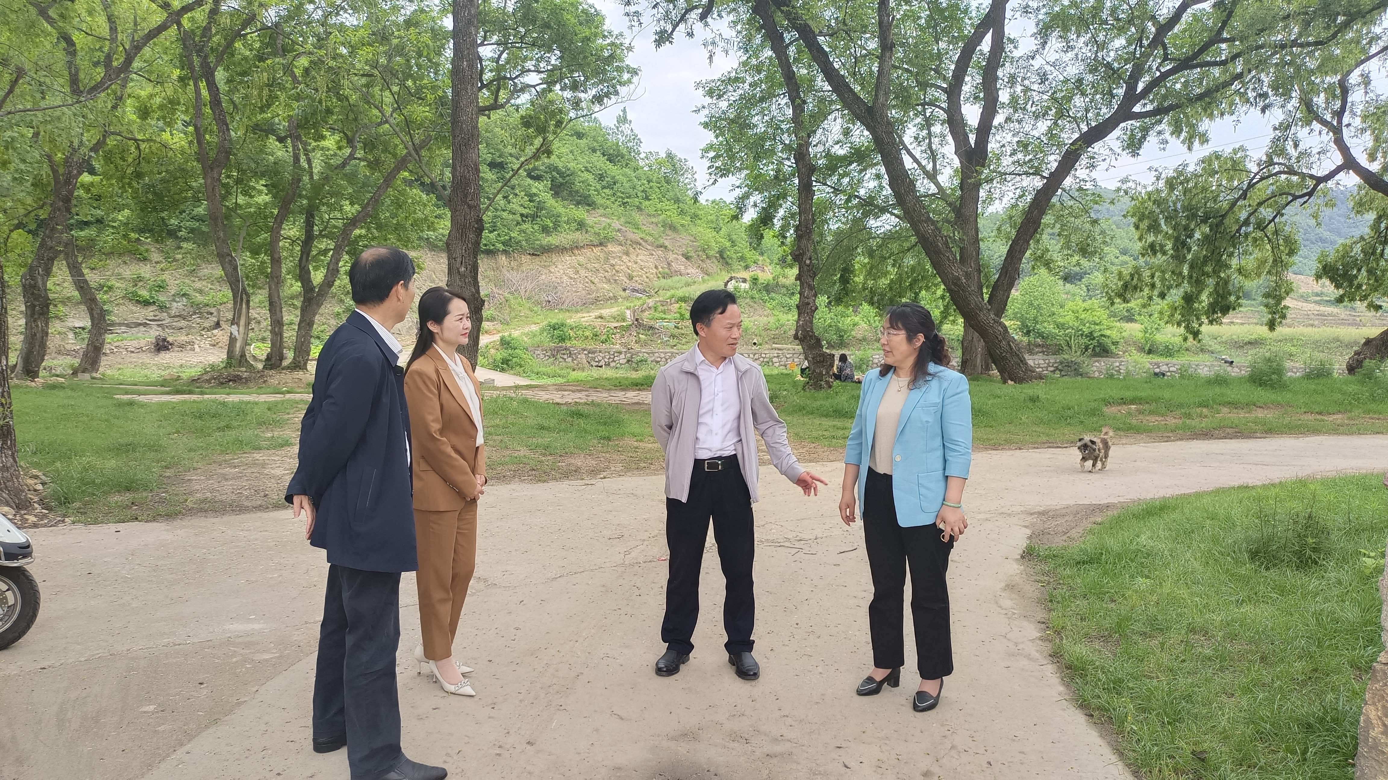 孝感市侨联主席陈娟赴大悟调研