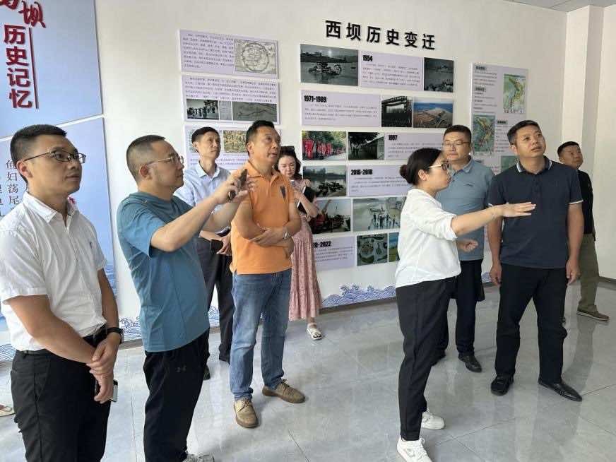 宜昌市侨联组织参政议政活动