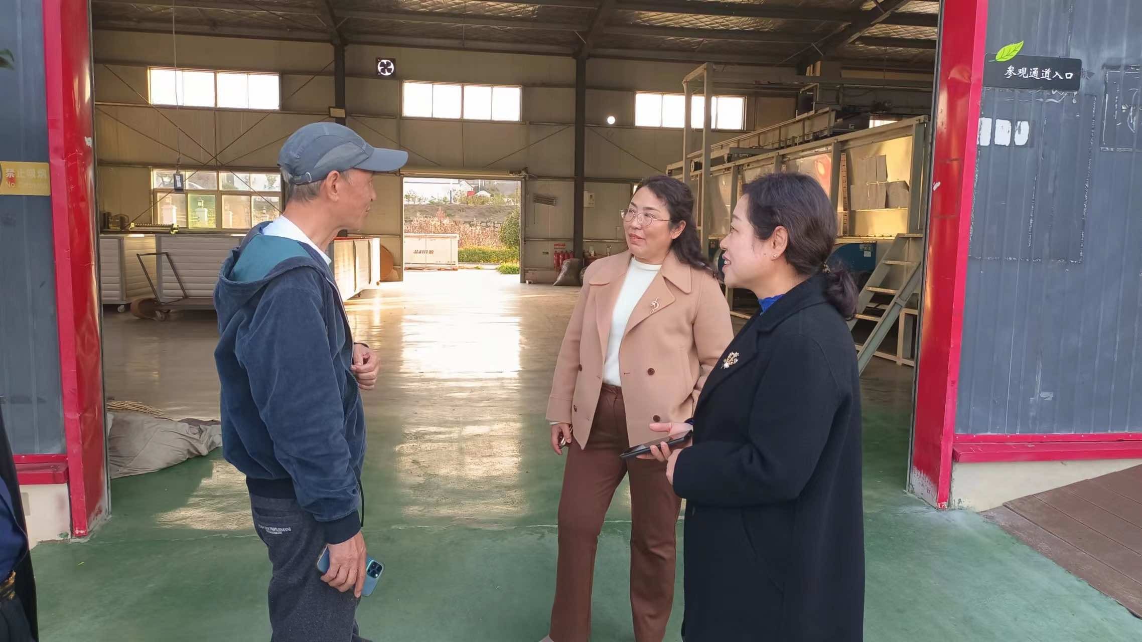 孝感市侨联主席赴大悟走访侨资企业