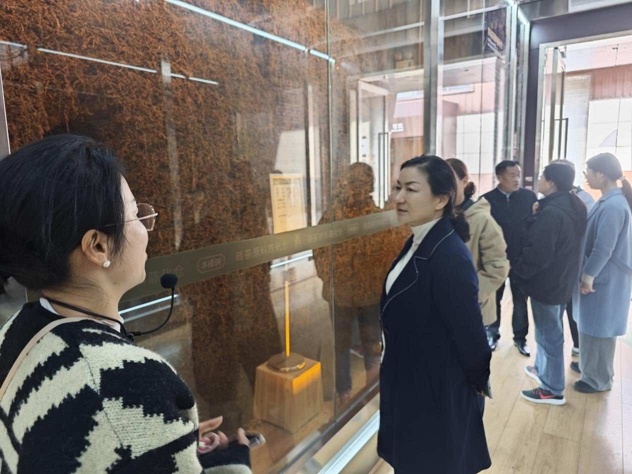 茶马古道感悟文化传承 省侨联举办2024年“三八”国际妇女节活动