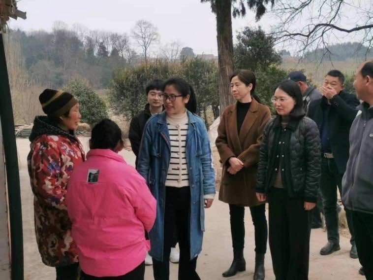 钟祥市侨联组织侨界政协委员 送爱心解民忧