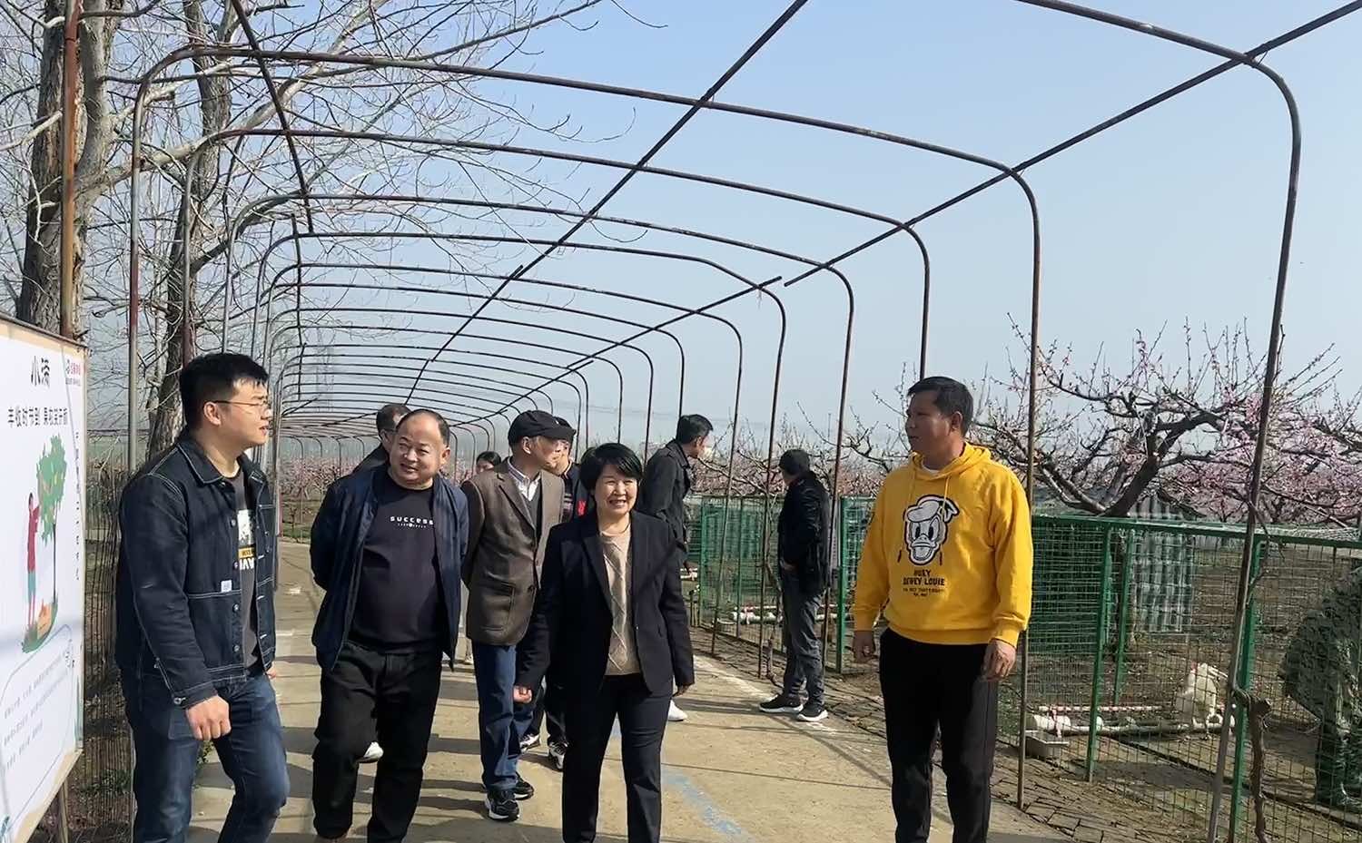 襄阳市侨联赴襄州区峪山镇考察学习乡村振兴工作