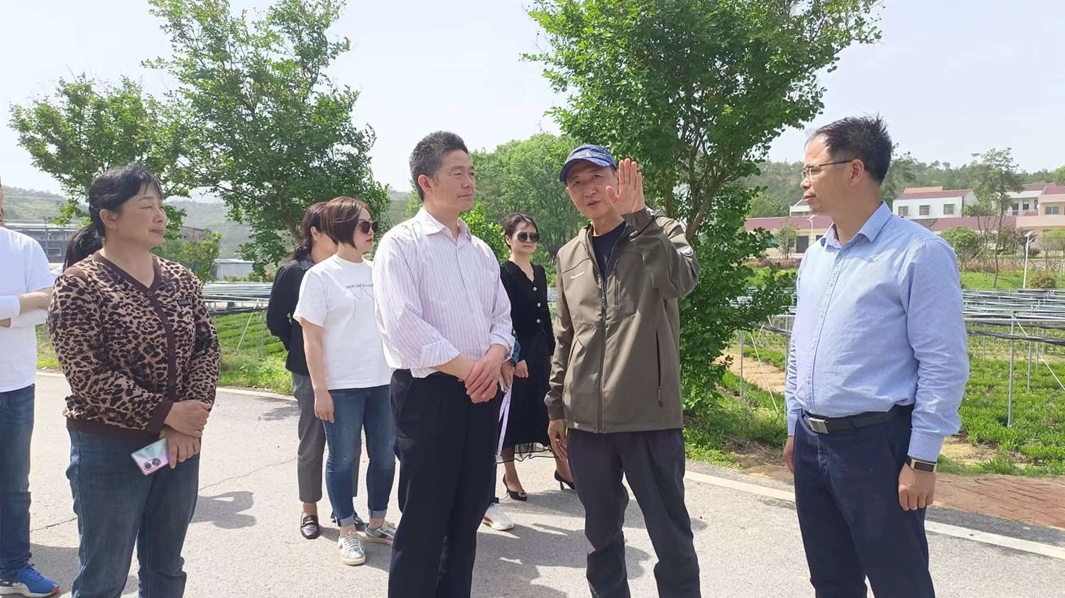 “美丽家乡行·聚力促发展”活动走进大悟