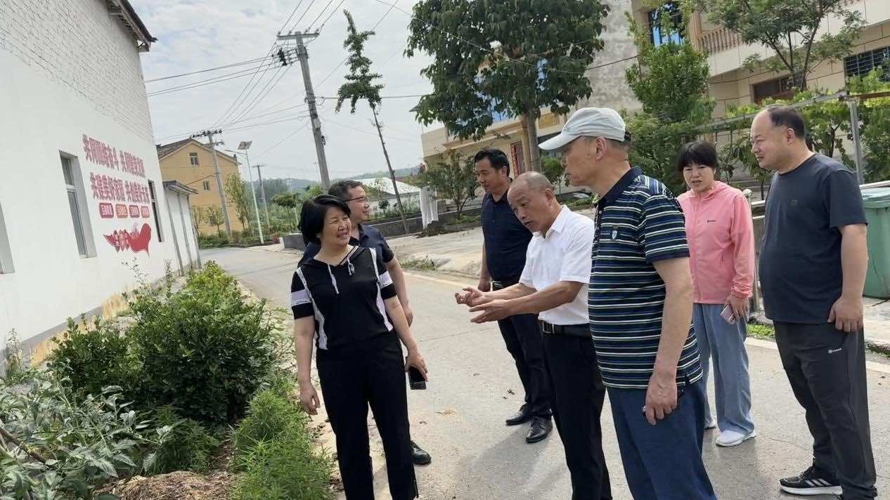 襄阳市侨联深入南漳县彭家营村开展走访调研