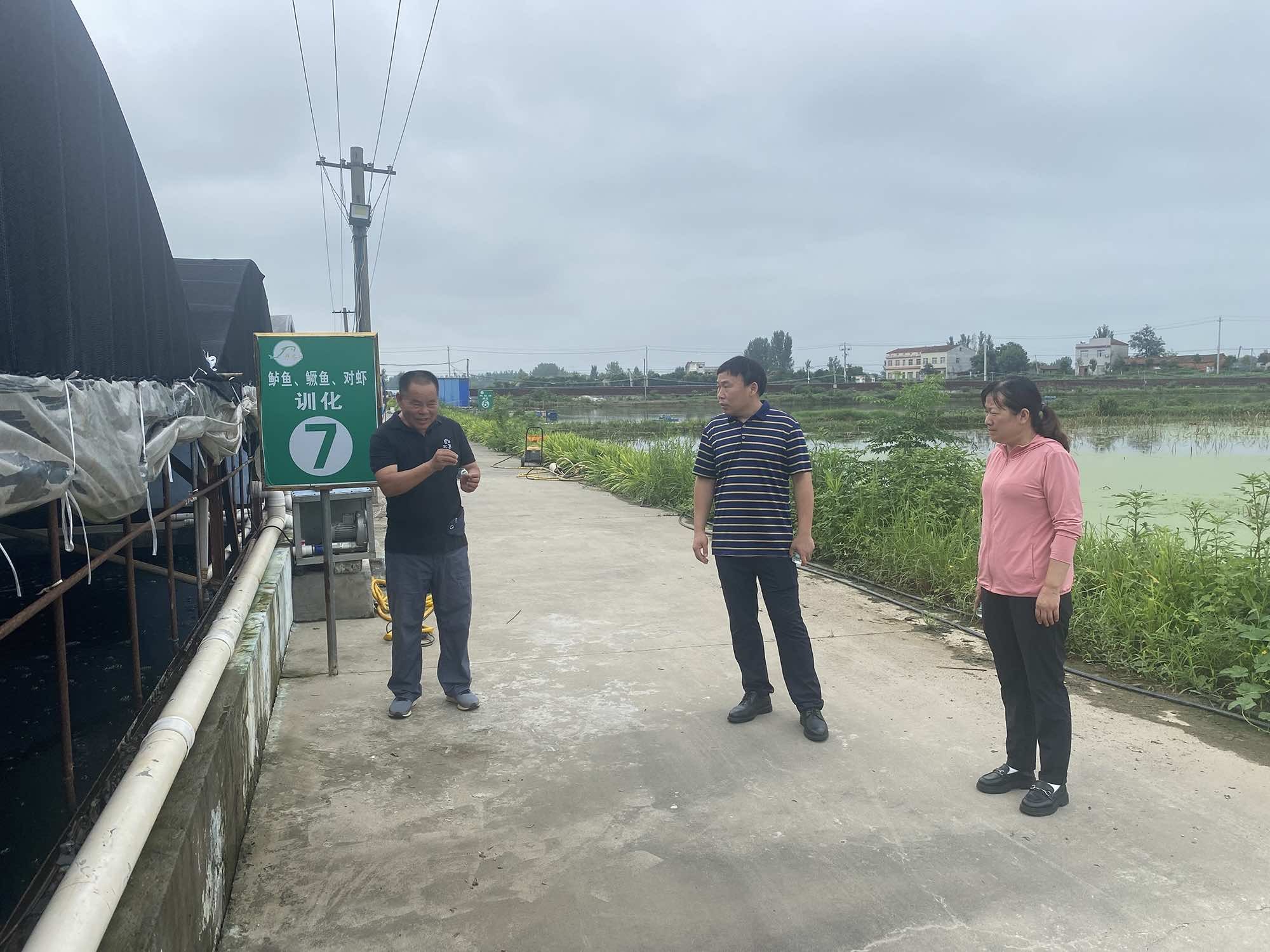 襄阳市襄州区侨联走访受灾侨资企业