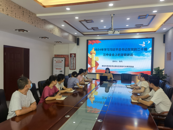 襄阳襄城区侨联组织开展“学习贯彻党的二十届三中 全会精神”主题系列宣讲活动