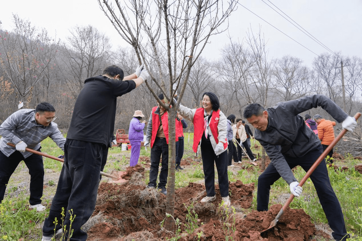 凝心聚力·同心共植亲情林 ——襄阳市侨联开展春季植树共建活动