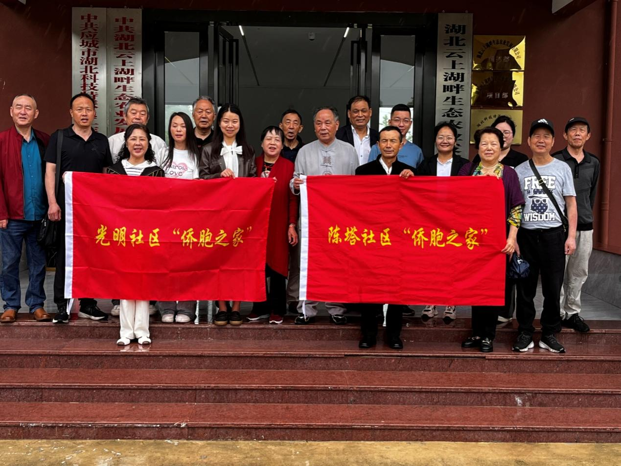 应城市侨联开展“汉北河畔•墨润侨苑”书法笔会活动