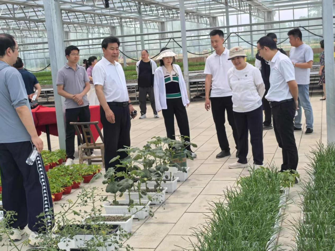襄阳市侨联赴南漳县调研乡村振兴产业项目