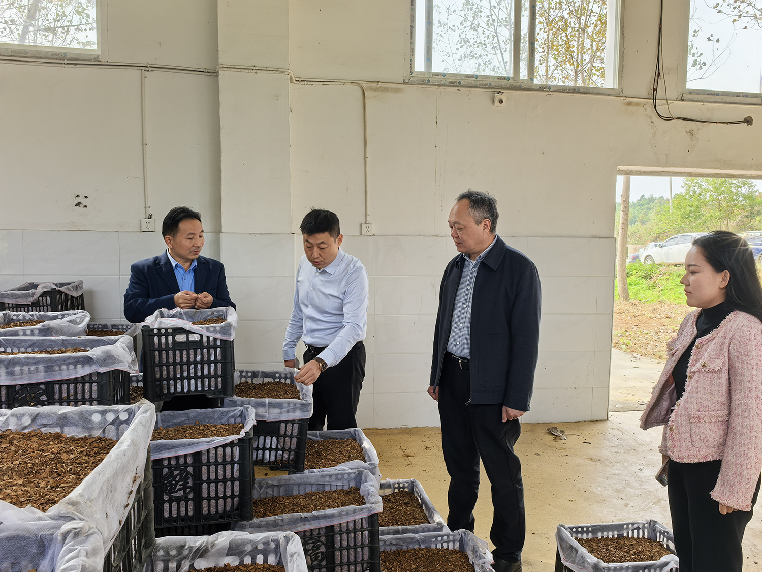 深入侨企察实情  贴心服务促发展