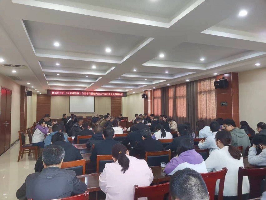 襄阳襄城区余家湖街道开展侨界学习宣传贯彻党的二十届四中全会精神活动