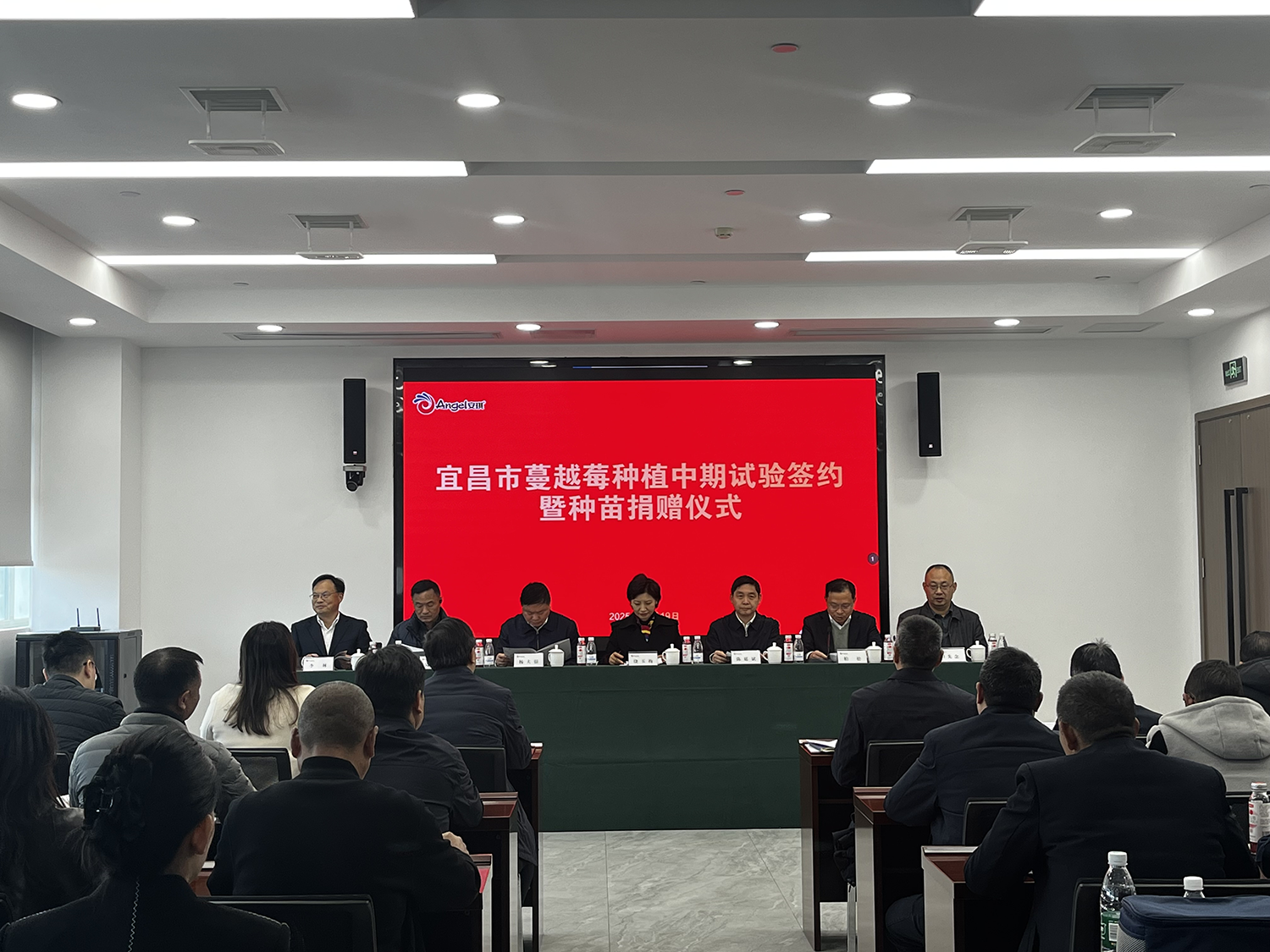 宜昌市侨联组织蔓越莓种植中期试验 签约仪式