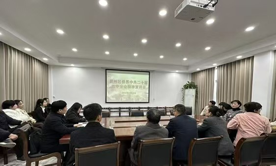 襄阳襄州区举办侨界学习贯彻 党的二十届四中全会精神宣讲会